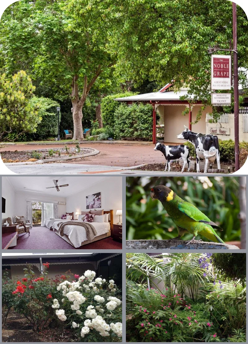 The Noble Grape Guesthouse 메인 이미지