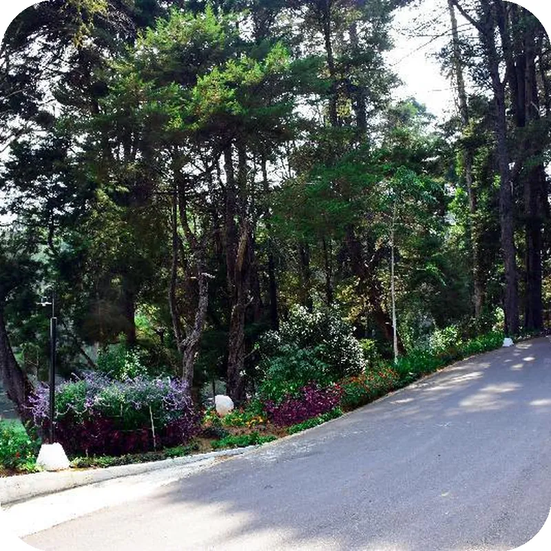 MIRAGE KINGS COTTAGE 호텔 이미지