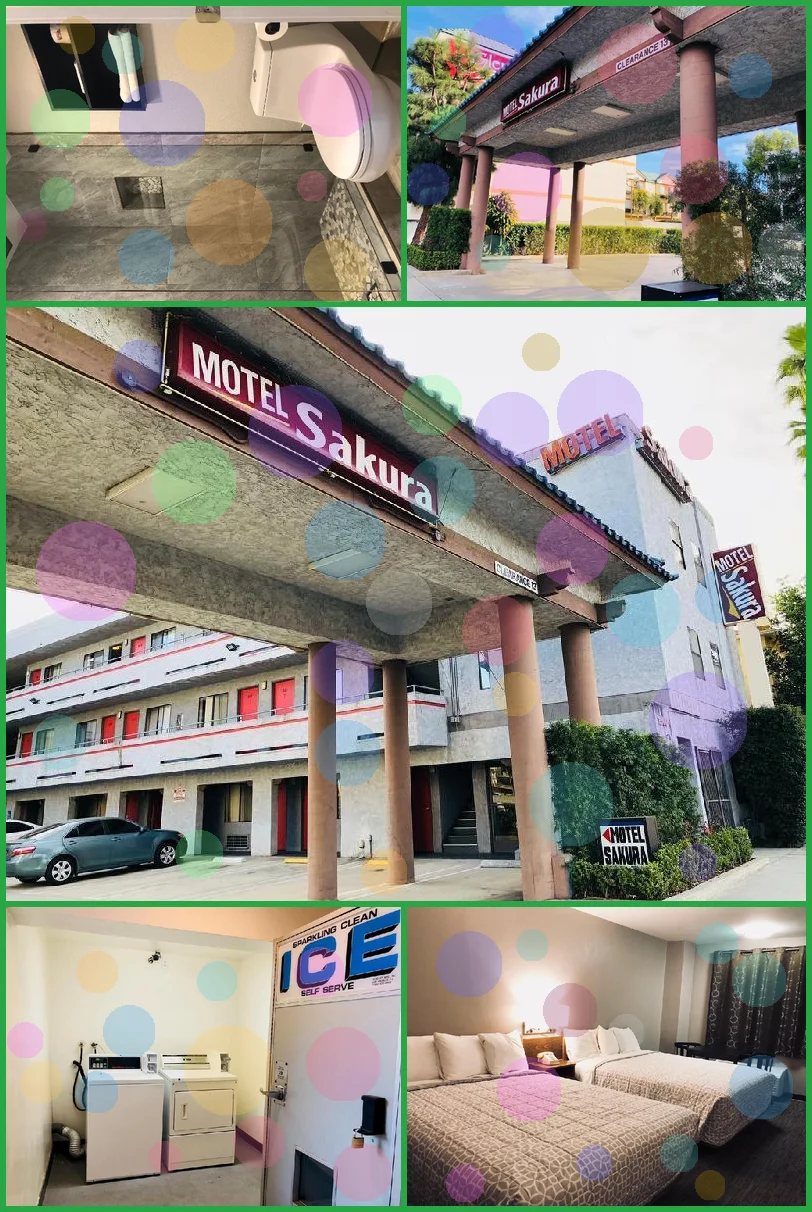 Motel Sakura - Adults Only 메인 이미지