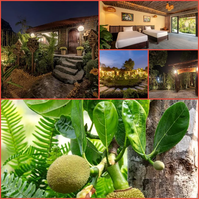 Scenic Mountain Ecolodge Ninh Binh 메인 이미지
