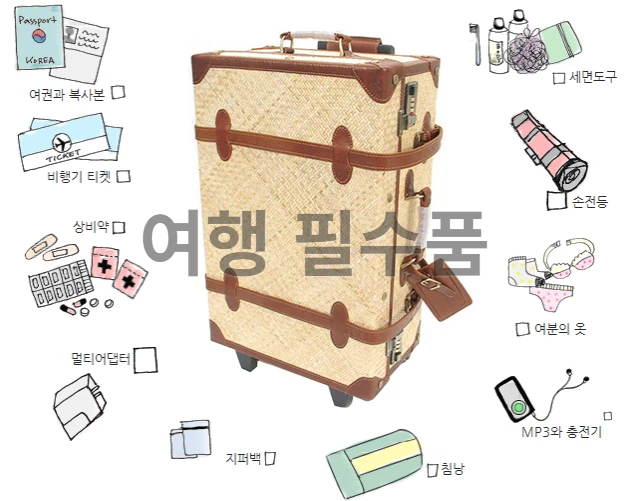 International travel essentials collection - multi-adapters, passport holder, medicine pouch, power bank, etc.