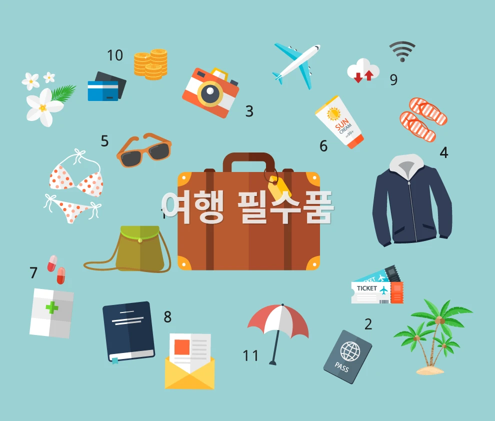 International travel essentials collection - universal adapter, passport wallet, medicine pouch, power bank, etc.